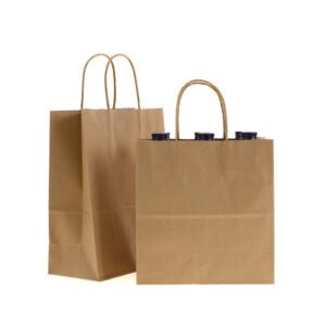 Twisted paper handle bag