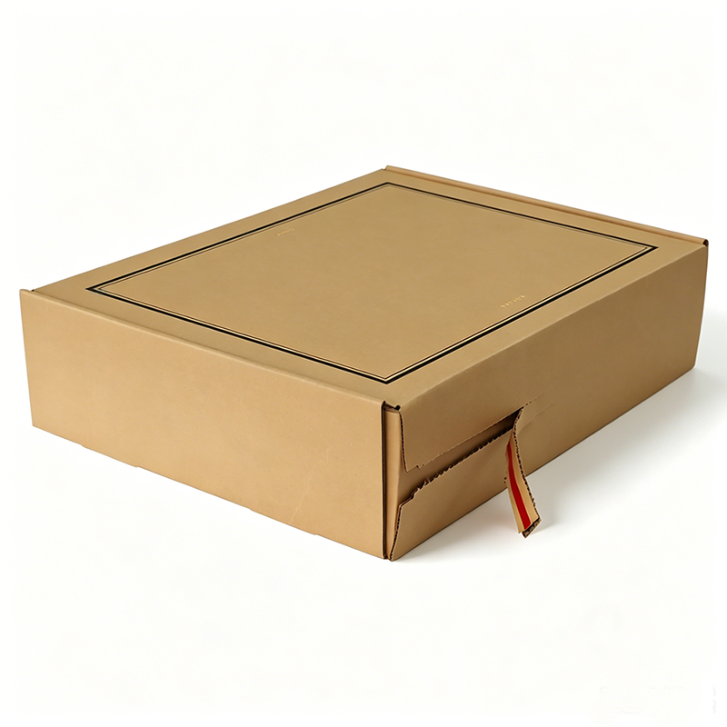 Tamper-Proof Courier Boxes