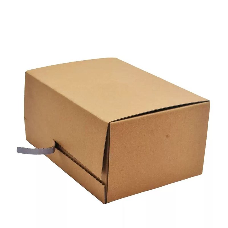Tamper-Proof Courier Boxes - Image 2